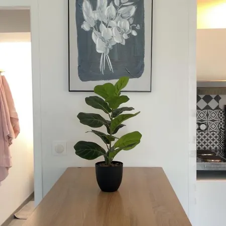 Avec Jardin Terrasse Et Parking Prive Apartment