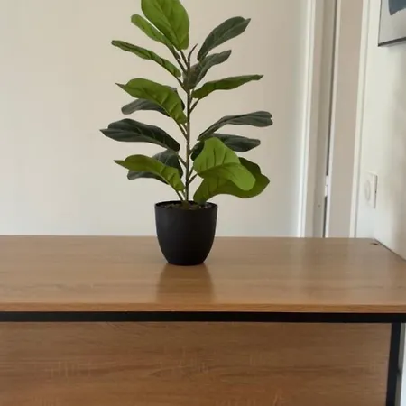 Avec Jardin Terrasse Et Parking Prive Apartment *
